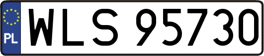 WLS95730