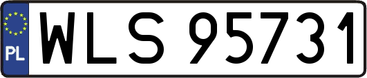WLS95731