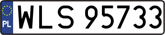 WLS95733