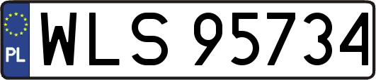 WLS95734