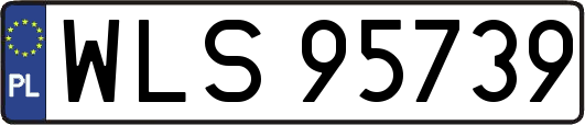 WLS95739