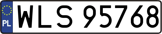 WLS95768