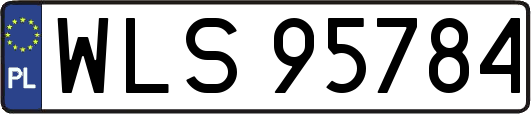 WLS95784