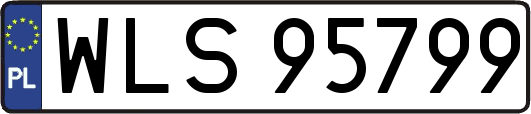 WLS95799