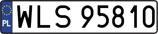 WLS95810