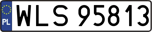 WLS95813