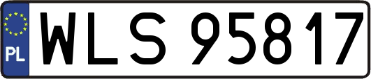 WLS95817