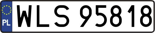 WLS95818