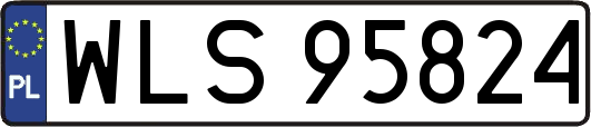 WLS95824