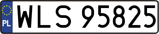 WLS95825