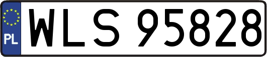 WLS95828