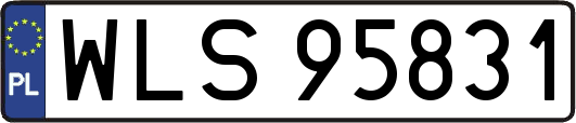 WLS95831