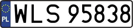 WLS95838