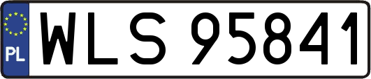 WLS95841