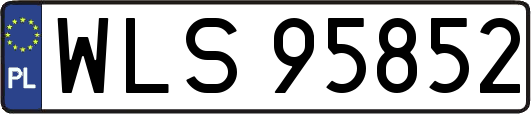 WLS95852