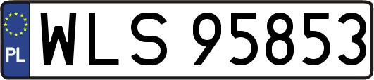 WLS95853