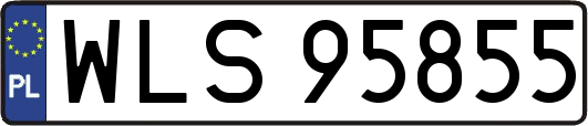 WLS95855