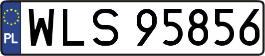 WLS95856