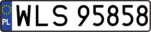 WLS95858