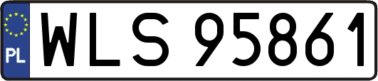 WLS95861