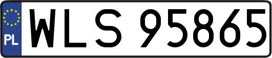 WLS95865