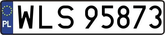 WLS95873