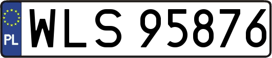 WLS95876