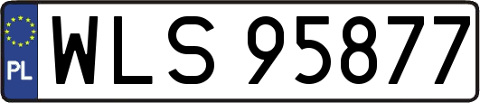 WLS95877