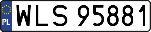WLS95881