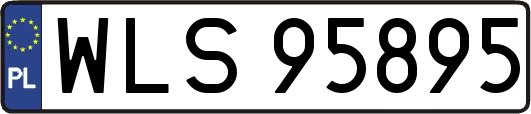 WLS95895