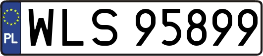 WLS95899