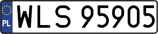 WLS95905