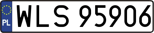 WLS95906