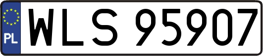 WLS95907