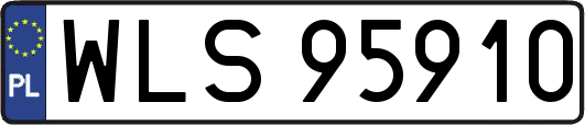 WLS95910