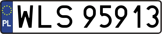 WLS95913