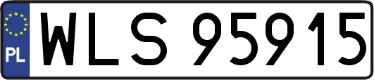 WLS95915