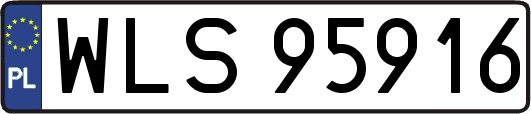 WLS95916