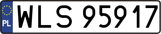 WLS95917