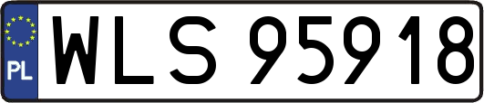 WLS95918