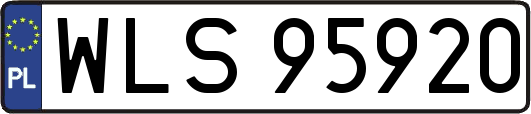 WLS95920