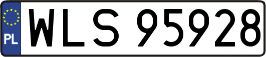 WLS95928