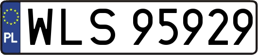 WLS95929