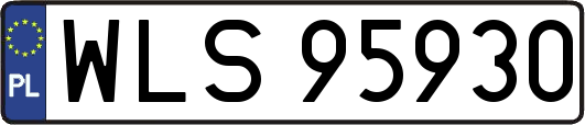 WLS95930