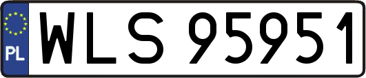 WLS95951