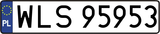 WLS95953