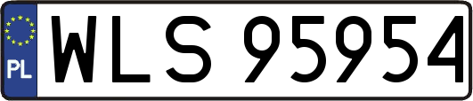 WLS95954