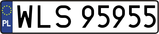 WLS95955