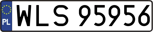 WLS95956