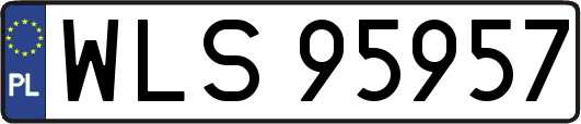 WLS95957